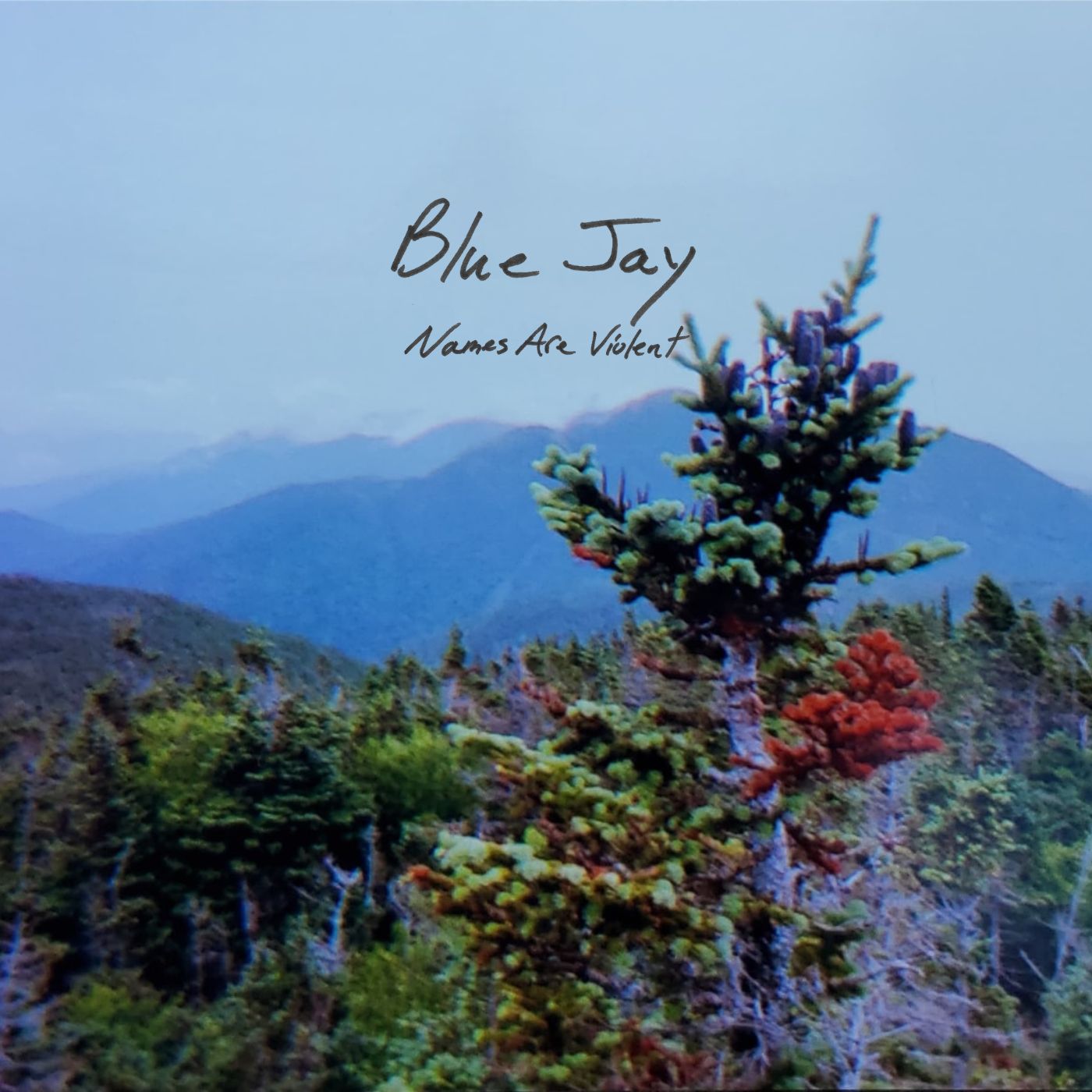 blue jay album art1